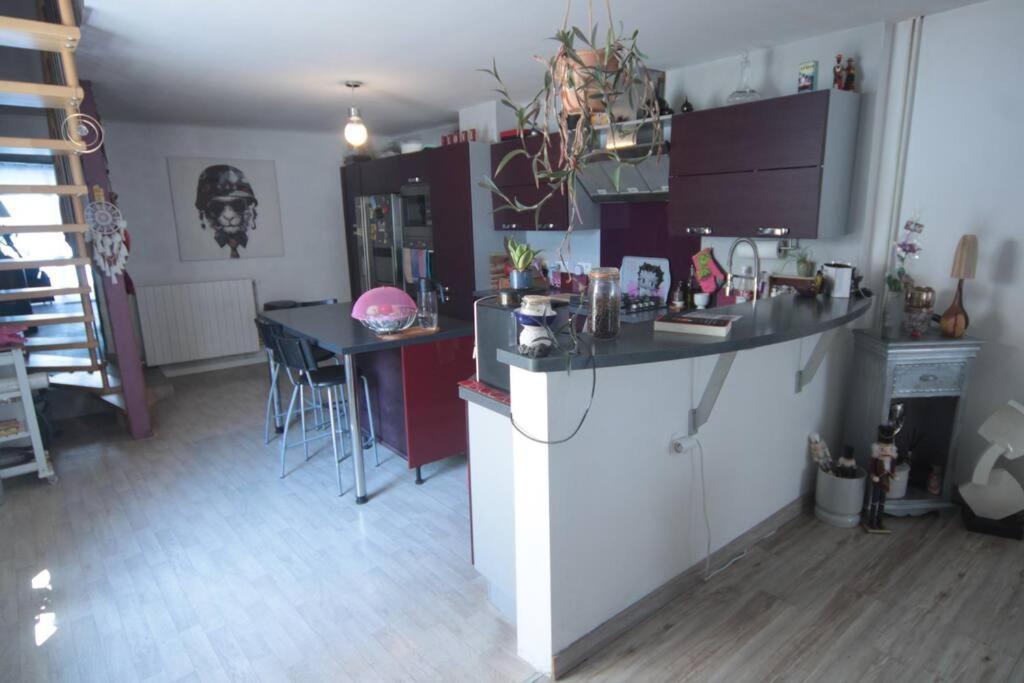 Appartement 90 M2 Vic-sur-Seille Luaran gambar