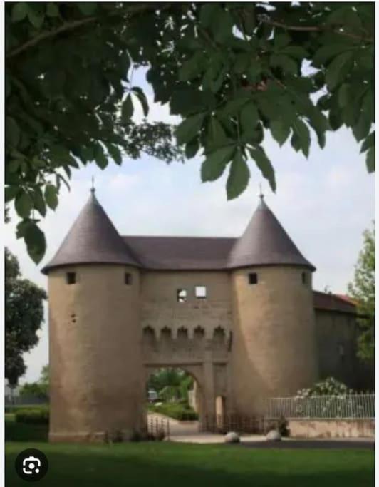 Appartement 90 M2 Vic-sur-Seille Luaran gambar